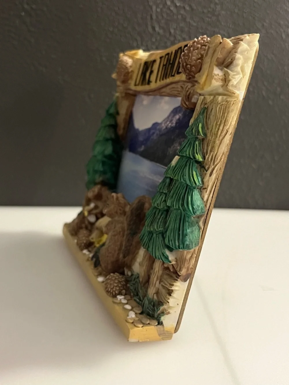Lake Tahoe Squirrel & Pinecone Resin free-standing 3D Frame - Brown/Green